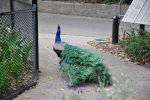 2016_05_26_11-11-03-slb