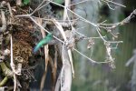 2016_05_26_13-38-59-slb