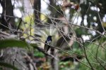 2016_05_26_13-49-02-slb