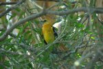 20090909_134724-slb