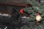 20091207_164331-slb