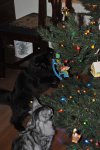 20091207_165304-slb