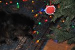 20091210_075153-slb