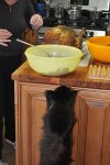 20101125_131224-slb