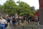 2007-04-29 211015_slb