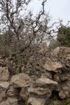 2007-04-29 211114_slb