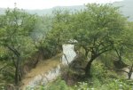 2007-05-04 003720_slb