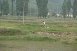 2007-05-10 225541_slb