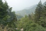 2007-05-10 231246_slb