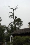 2007-05-11 222126_slb