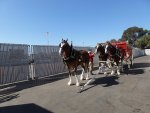 20110805_162718-sjb