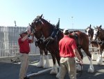 20110805_163331-sjb