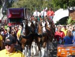 20110805_165643-sjb