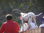20110805_165722-sjb