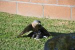 20141027_154741-slb