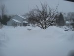 20100210_090533-slb