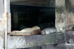 20080425_122544-slb