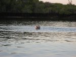 20080505_050253-slb