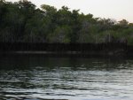 20080505_050353-slb