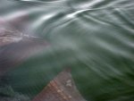20080505_051552-slb