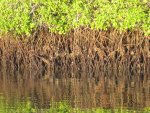 20080505_051815-slb