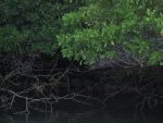 20080505_053415-slb