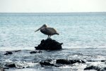 20080428_144432-slb