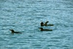 20080428_150117-slb