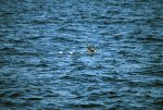 20080430_161614-sjb