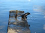 20080427_142905-sjb