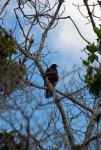 20080427_143742-slb