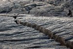 20080427_144529-slb