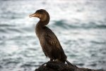 20080427_163249-slb