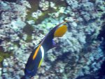 20080429_090931-slb