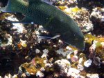 20080429_092714-slb