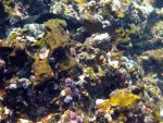 20080429_093317-slb