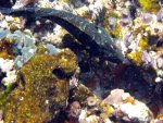 20080429_093333-slb