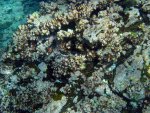 20080429_100310-slb