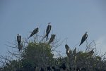 20080426_054004-slb