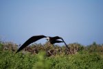 20080426_062827-sjb