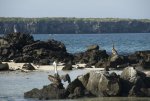20080426_062842-slb