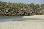 20080426_063023-slb