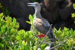 20080426_072446-sjb