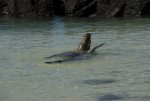 20080426_080539-slb