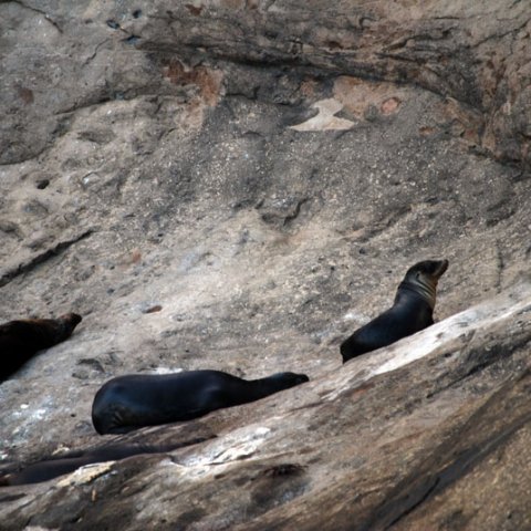 Kicker Rock