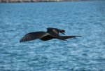 20080425_145632-slb