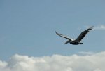 20080425_150503-slb