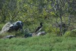 20080425_150717-slb