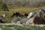20080425_152042-slb