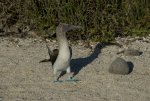 20080425_155358-slb
